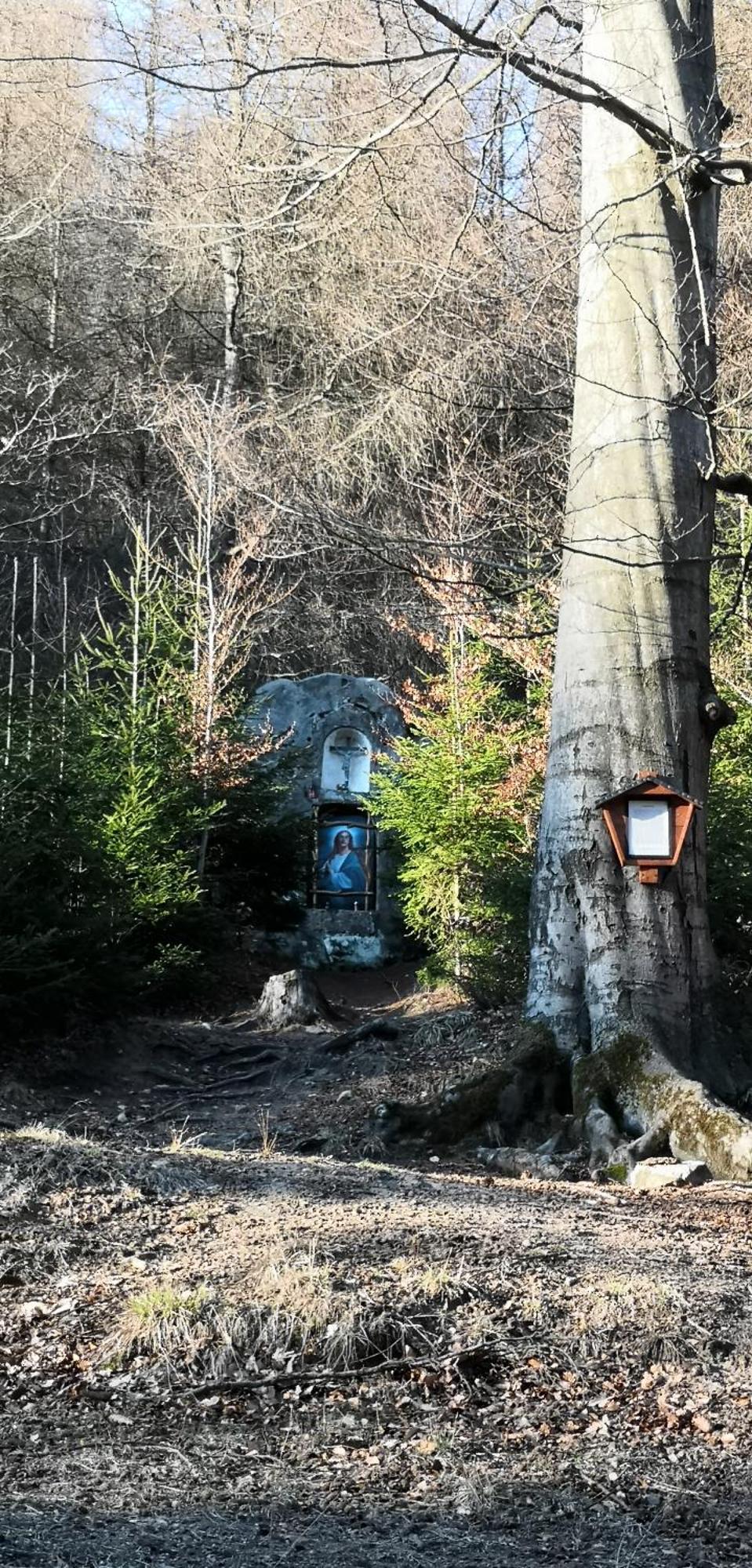 Penzion Čtyřlístek Teplice nad Metují Exterior foto
